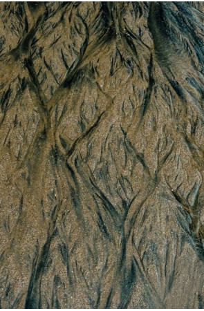 Maku Nature